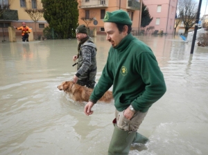 animali salvati alluvione emilia